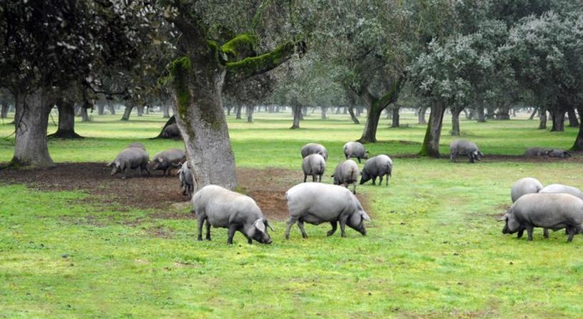 La Era De San Blas Fuentes De Leon Ngoại thất bức ảnh